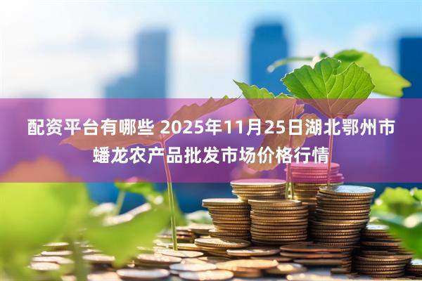配资平台有哪些 2025年11月25日湖北鄂州市蟠龙农产品批发市场价格行情